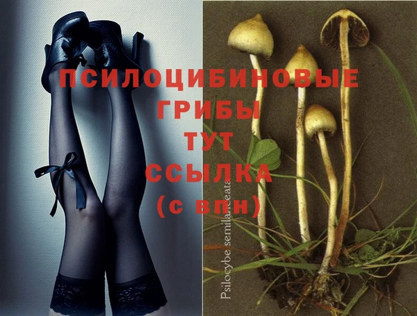 марки nbome Осинники